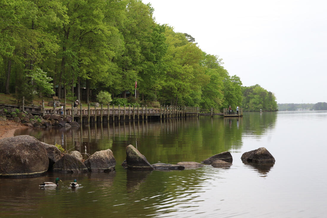 Sunday Docks (2023,Canon EOS R100)